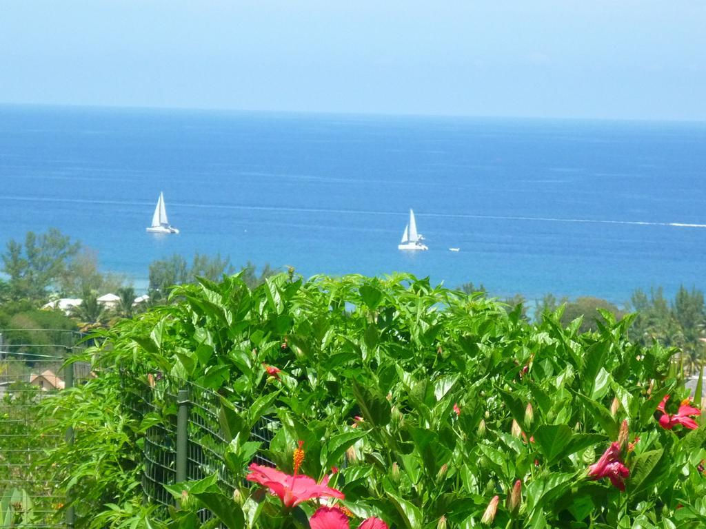Flamboyant Ocean View - Ex Hillside Haven Apartment Tamarin ภายนอก รูปภาพ